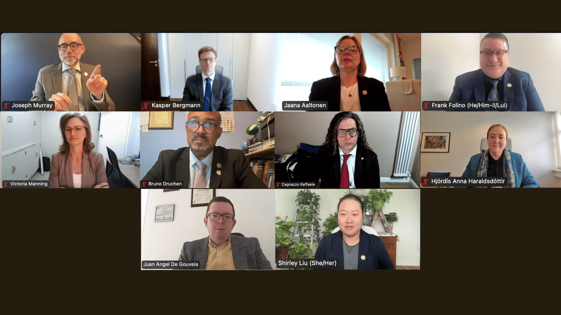 A virtual meeting with ten professionally dressed individuals, each in a separate video frame with name tags, on a dark background.