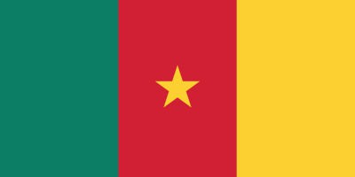 Flag of Cameroon featuring three vertical stripes of green, red, and yellow, with a yellow star in the center of the red stripe.