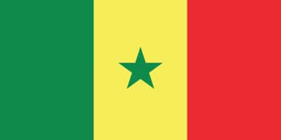 Flag of Senegal: Vertical stripes in green, yellow, and red with a green star in the center of the yellow stripe.
