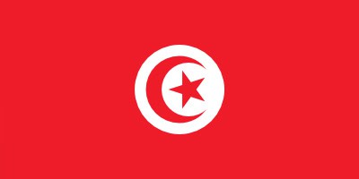 Red flag with a white circle and a red star inside a red crescent in the center.