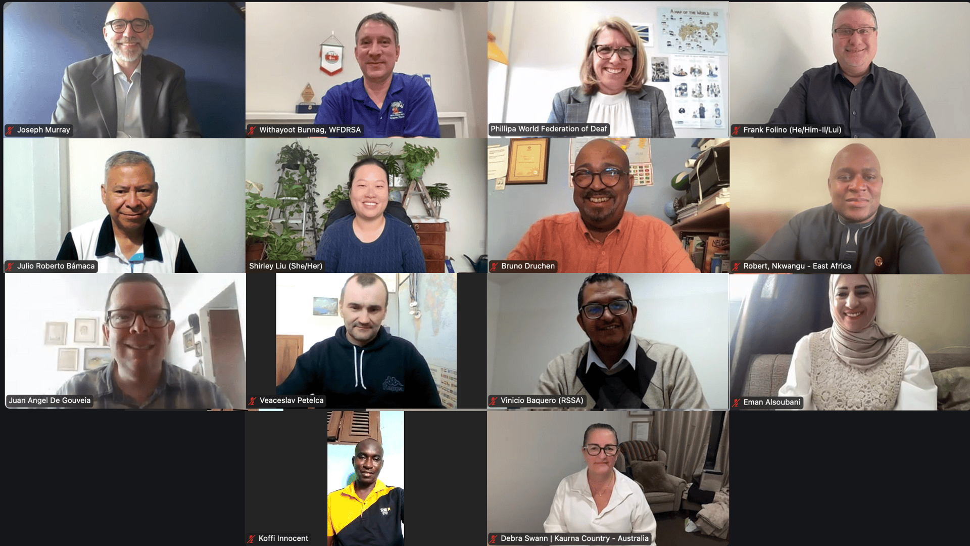 A screenshot of a virtual meeting with sixteen participants, each shown in individual video chat windows, smiling or looking at their cameras.